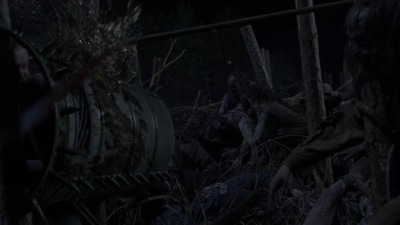 twd1011_2601.jpg