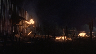 twd1011_2700.jpg