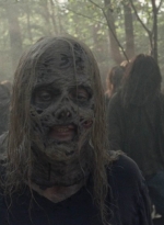 twd1011_0150.jpg