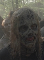 twd1011_0156.jpg