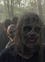 twd1011_0160.jpg
