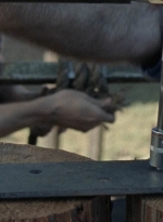 twd1011_0323.jpg