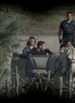 twd1011_0335.jpg