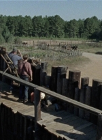 twd1011_0341.jpg