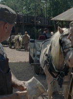 twd1011_0412.jpg