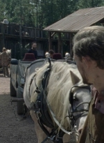twd1011_0423.jpg