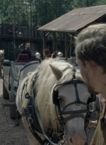 twd1011_0424.jpg