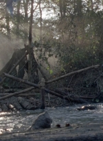 twd1011_0426.jpg