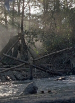 twd1011_0427.jpg
