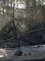 twd1011_0428.jpg