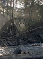 twd1011_0429.jpg