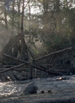 twd1011_0430.jpg