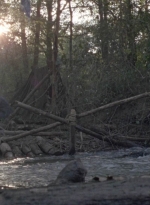 twd1011_0458.jpg