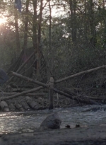 twd1011_0461.jpg