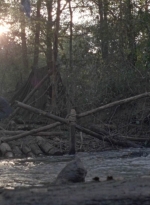 twd1011_0462.jpg