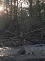 twd1011_0463.jpg