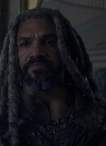 twd1011_2008.jpg