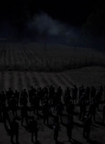 twd1011_2323.jpg
