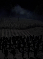 twd1011_2324.jpg