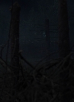 twd1011_2365.jpg