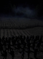 twd1011_2376.jpg
