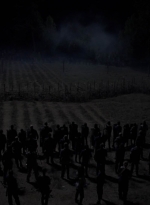 twd1011_2378.jpg