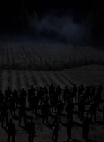 twd1011_2379.jpg