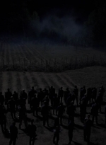 twd1011_2380.jpg