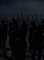 twd1011_2407.jpg