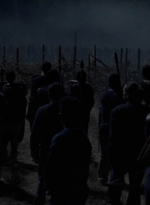 twd1011_2409.jpg
