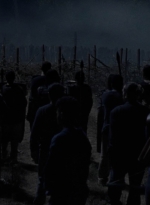 twd1011_2410.jpg
