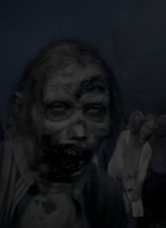twd1011_2411.jpg