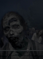 twd1011_2412.jpg