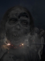 twd1011_2413.jpg