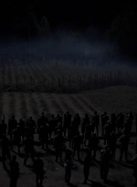 twd1011_2416.jpg