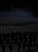 twd1011_2417.jpg