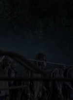 twd1011_2423.jpg