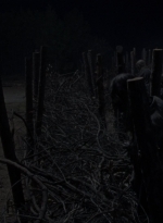 twd1011_2496.jpg