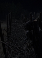 twd1011_2497.jpg