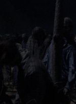 twd1011_2503.jpg