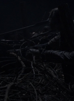 twd1011_2507.jpg