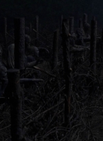 twd1011_2509.jpg