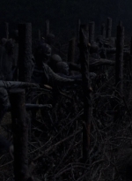 twd1011_2510.jpg