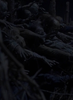 twd1011_2567.jpg