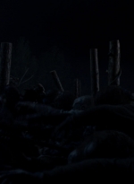 twd1011_2617.jpg