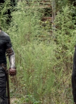 the-walking-dead-s10e12-walk-with-us-029.jpg