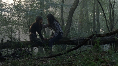 twd1012_0974.jpg