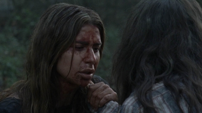 twd1012_1000.jpg