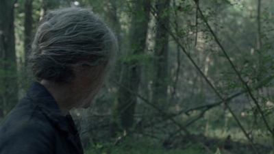twd1012_1041.jpg