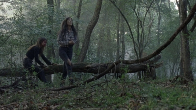 twd1012_1062.jpg